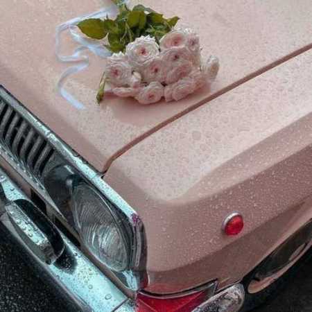 به اون شاخه گلی که روموهاته نزن دست