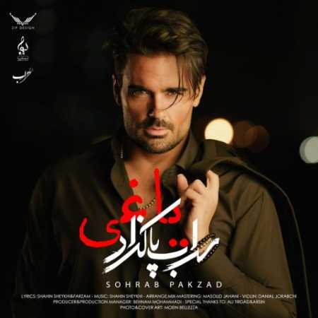 سهراب پاکزاد دیگه درست نمیشم اصلا میخوابم